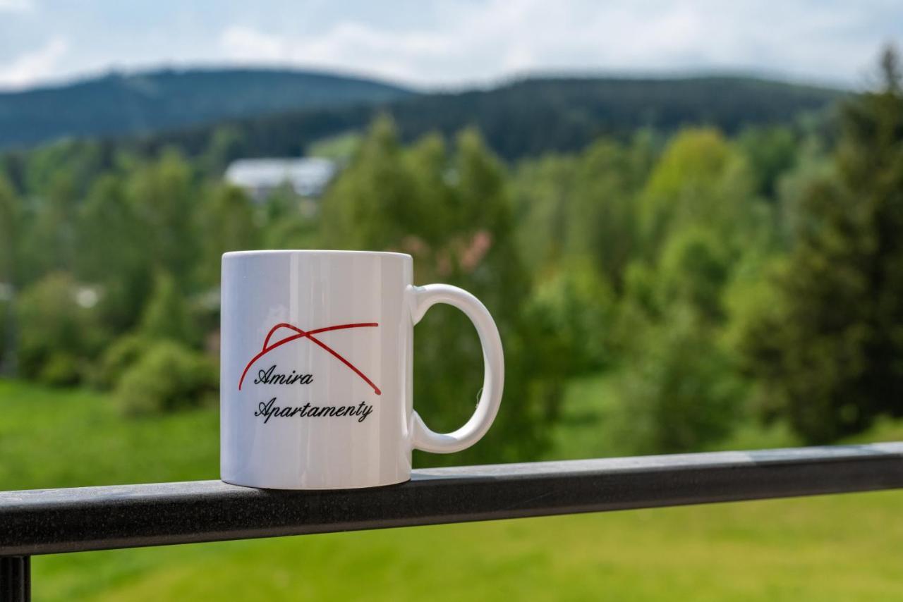 Apartamenty Amira W Kompleksie Apartamenty Piano Świeradów-Zdrój Buitenkant foto